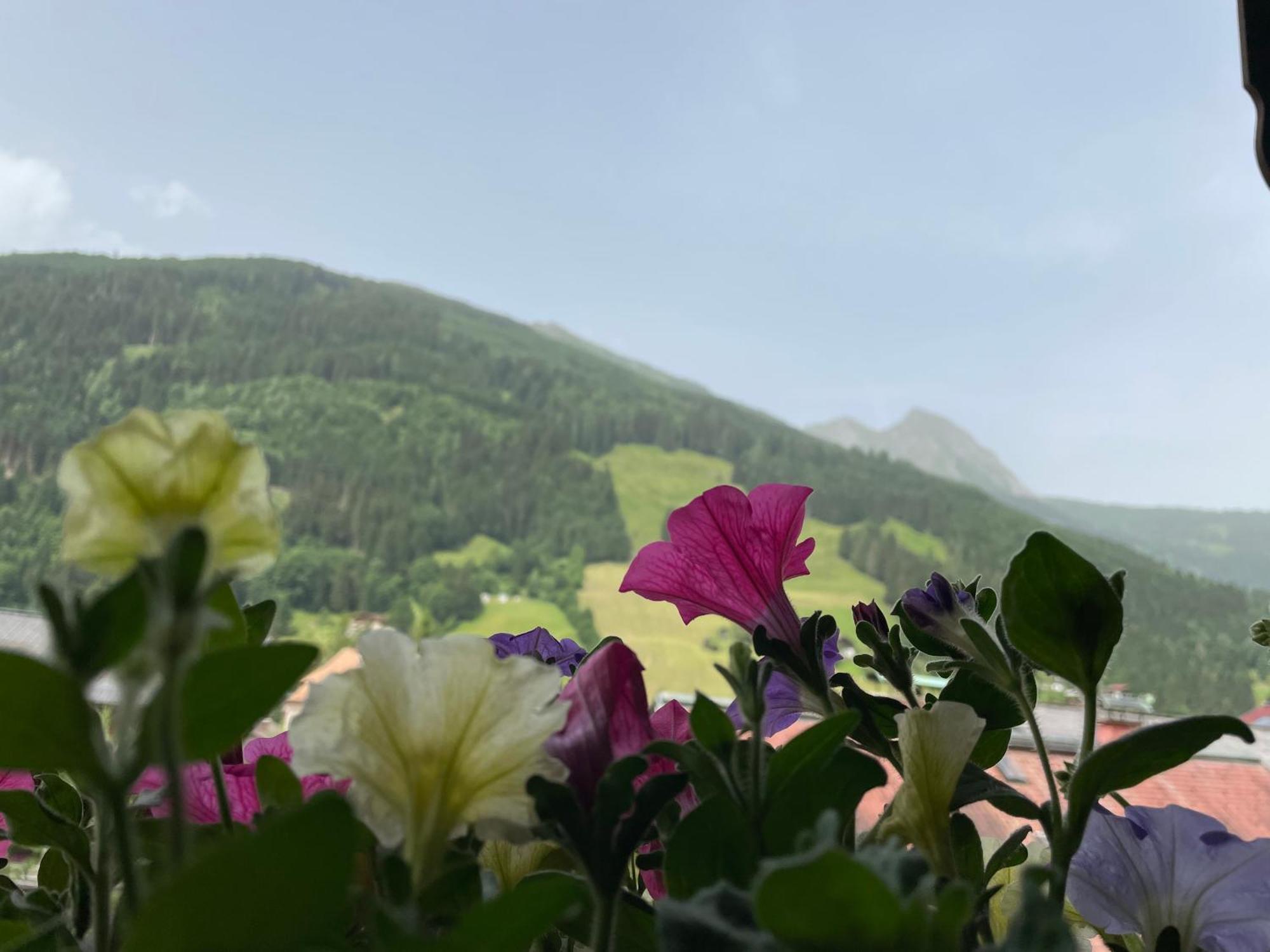 Villa Wengerbauer à Dorfgastein Extérieur photo